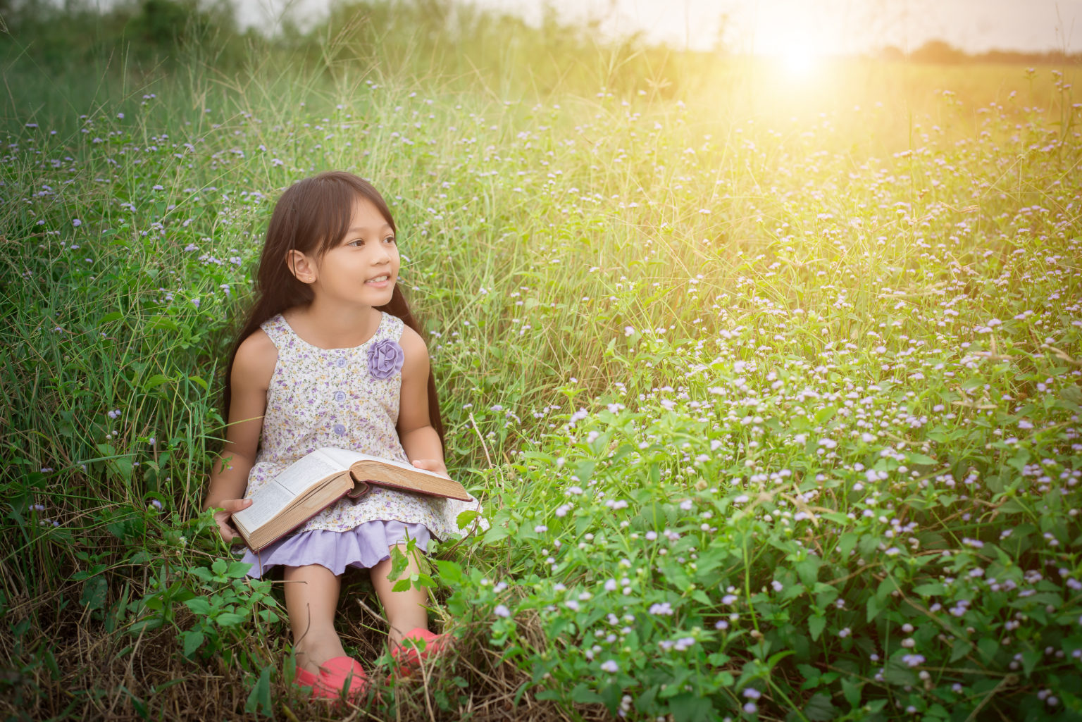 Sophie Sparks Education’s Summer Reading List for Every Age Group